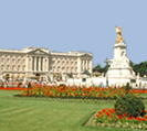 buckingham palace